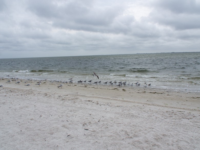 A Rare Cloudy Day at the Beach, Clearwater, FL (Feb 2014)